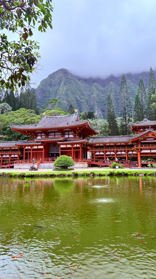 Byodo-In Temple reflected in the koi pond with misty mountains behind