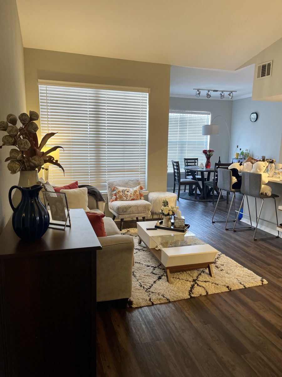 Our apartment at Contour 39, Lone Tree